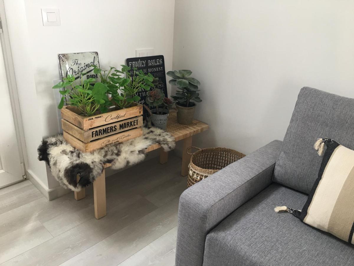 Loft Xerez Centro Leilighet Jerez de la Frontera Eksteriør bilde
