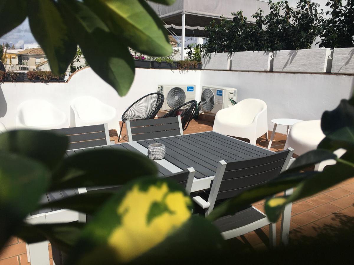 Loft Xerez Centro Leilighet Jerez de la Frontera Eksteriør bilde