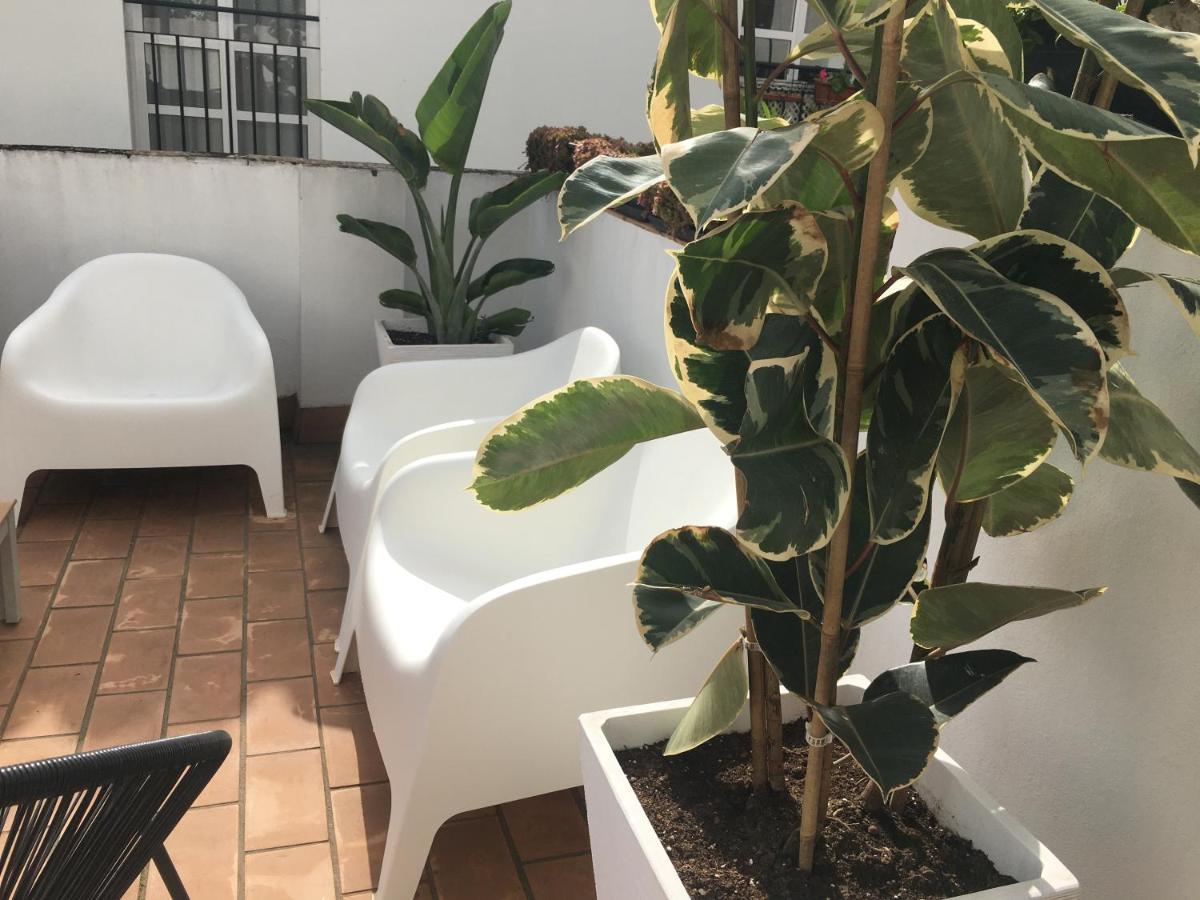 Loft Xerez Centro Leilighet Jerez de la Frontera Eksteriør bilde